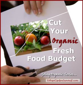 Organic Budget Tips