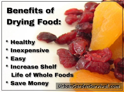 Benefits of Drying Food